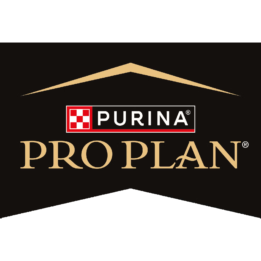 Pro Plan